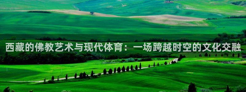 球进体育官方网站入口：西藏的佛教艺术与现代体育：一场跨越时空的文化交融