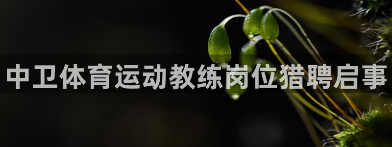 球进体育app：中卫体育运动教练岗位猎聘启事