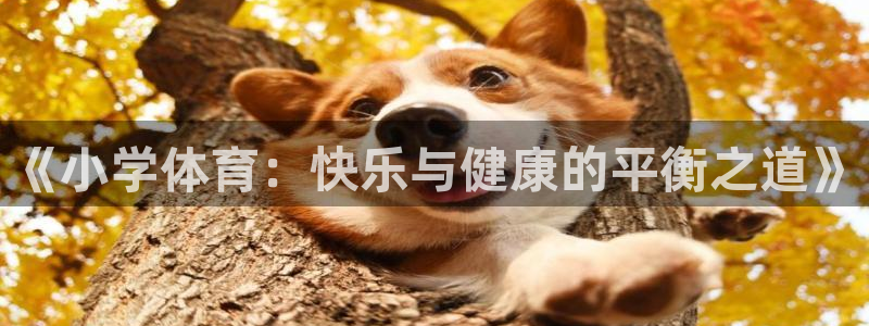 球进体育app：《小学体育：快乐与健康的平衡之道》